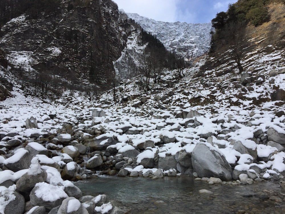 a stream running through a snow covered canyon