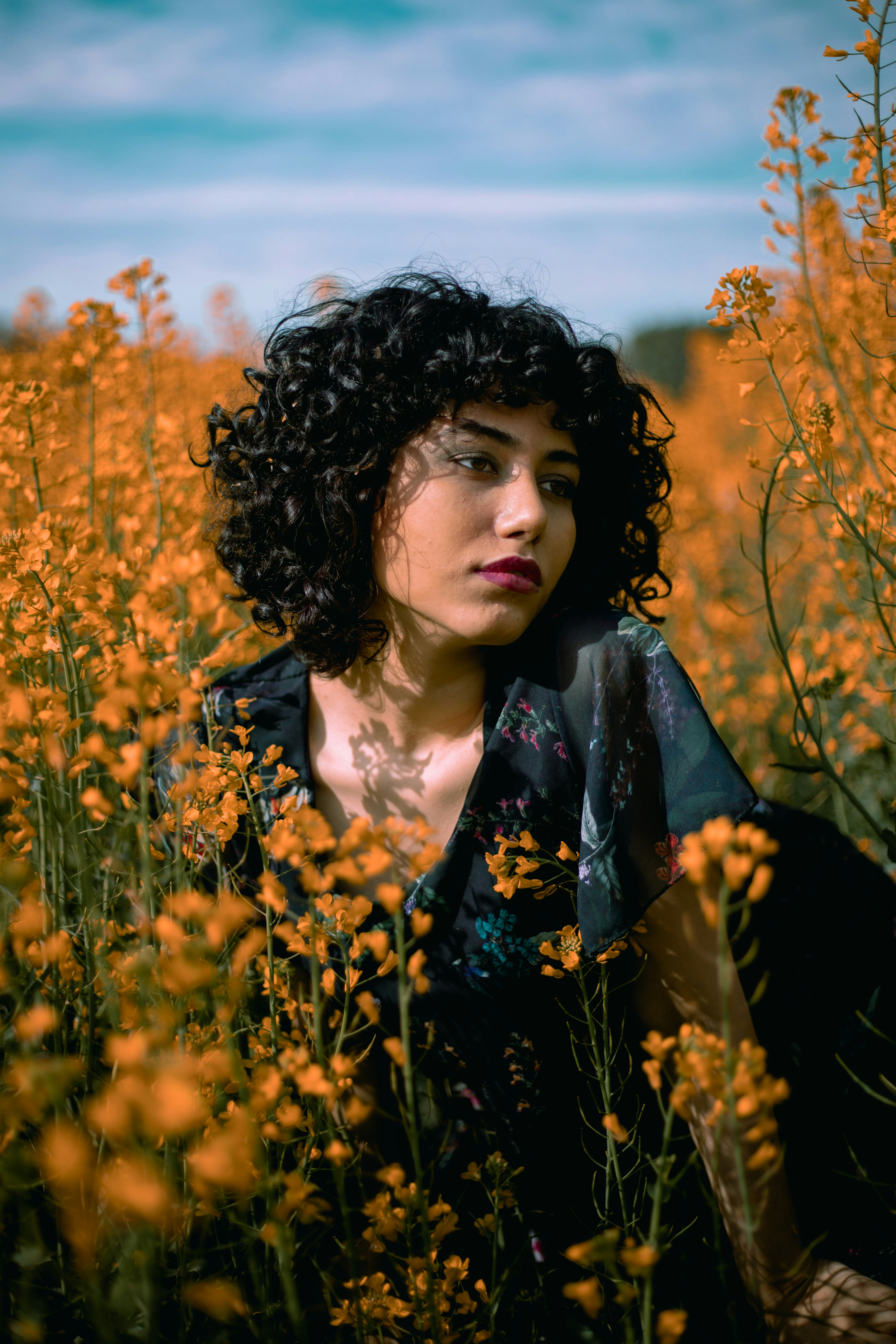 Photo by mehranbiabani