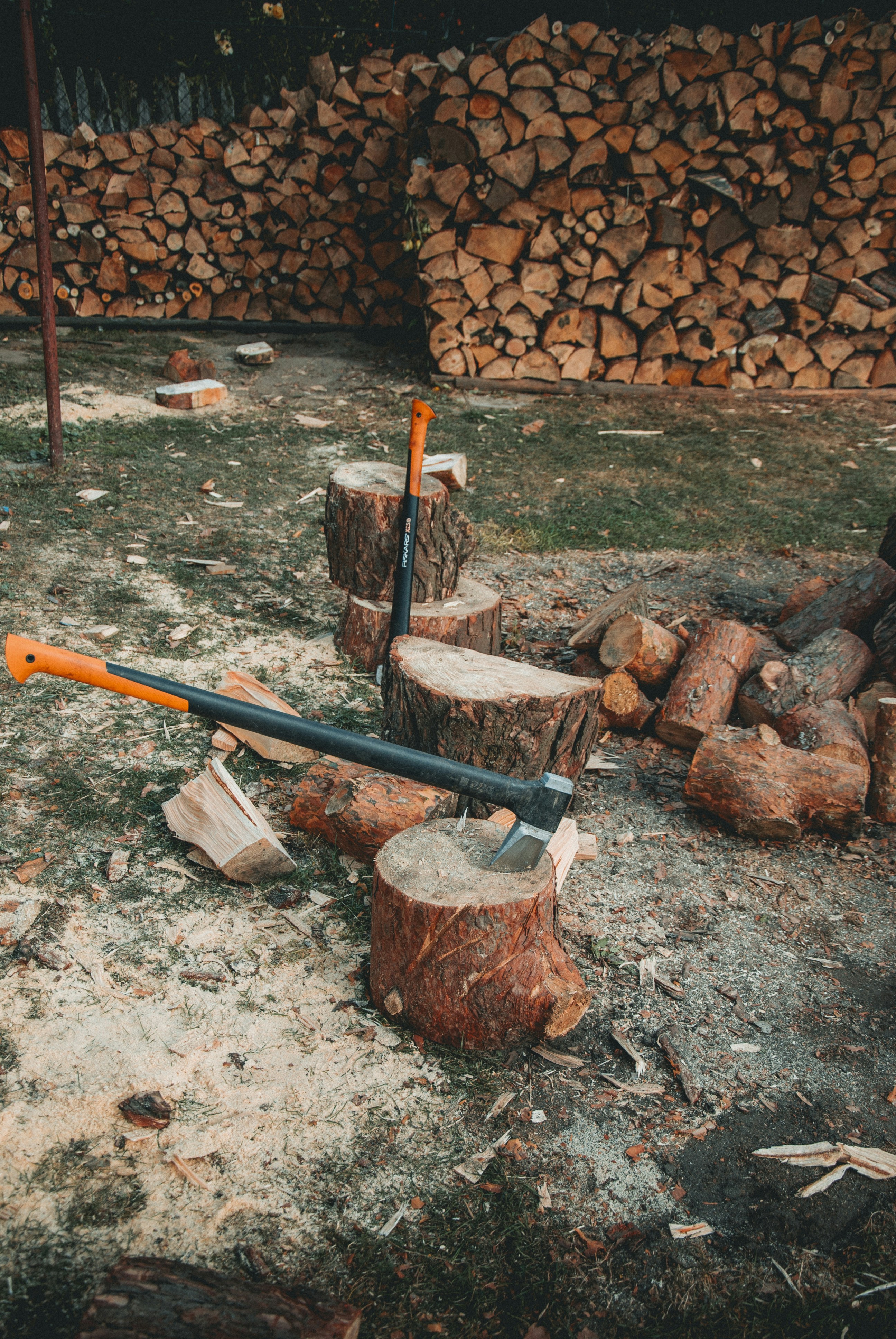 Photo by iamfrancismorgan