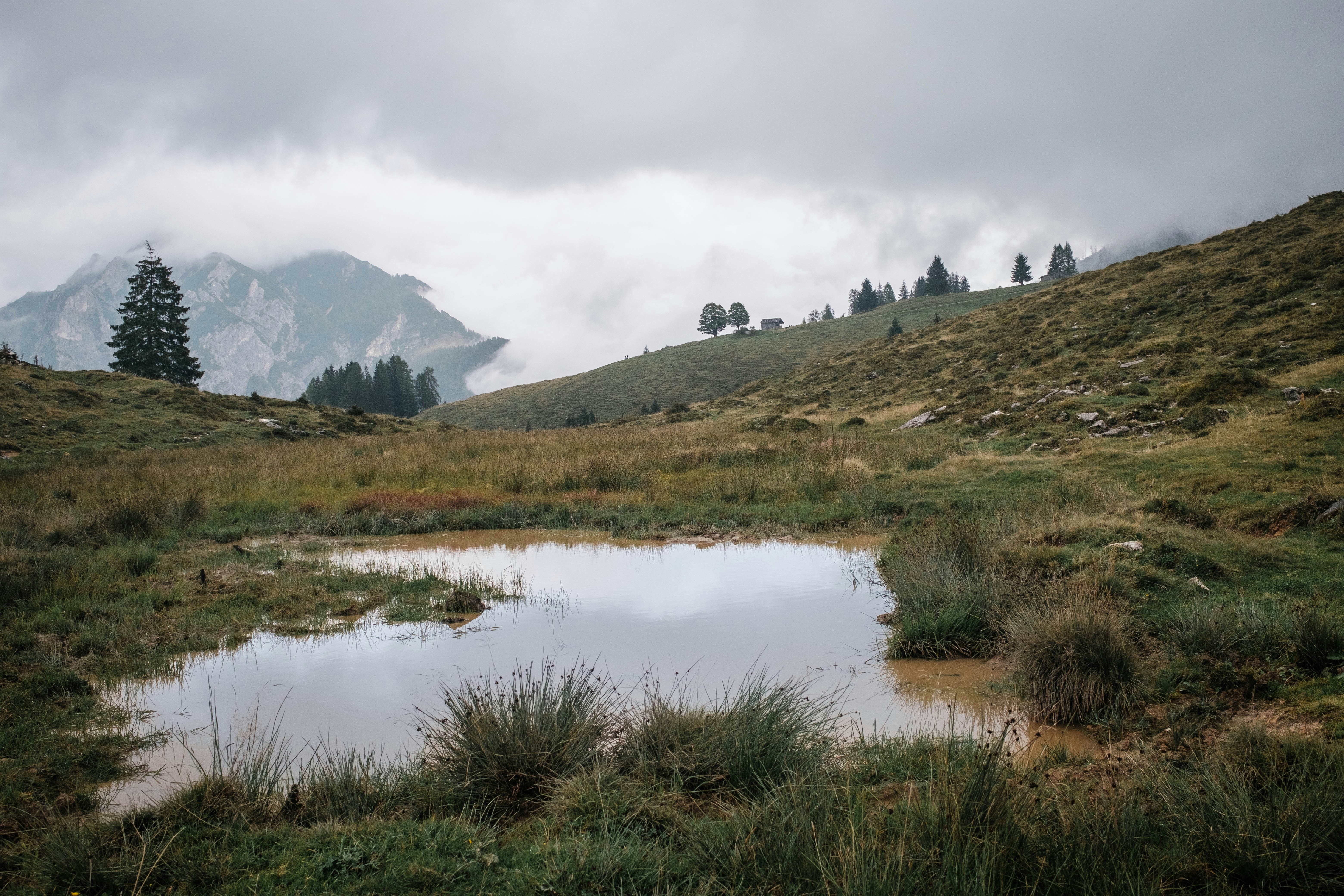 Photo by tomashirsch