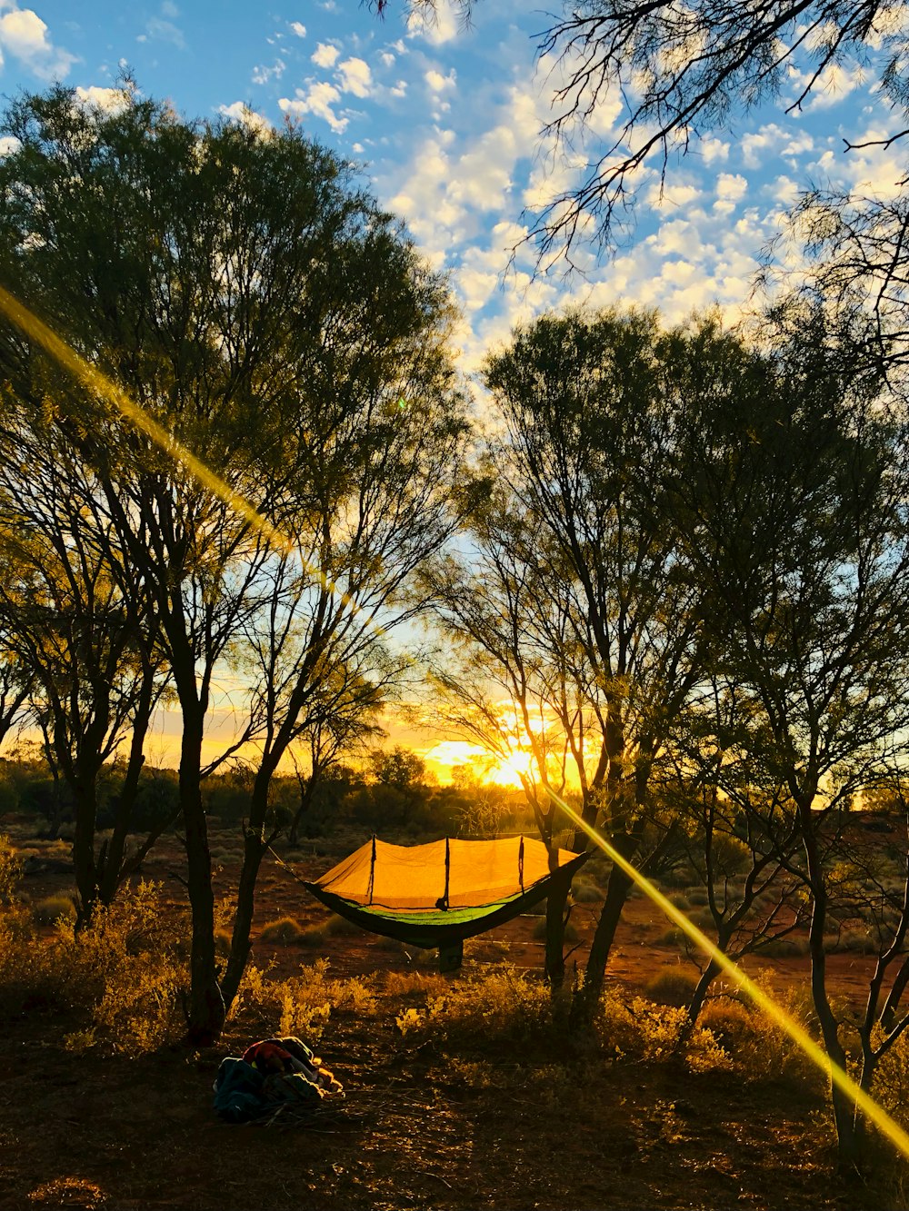 a hammock is set up in the woods at sunset