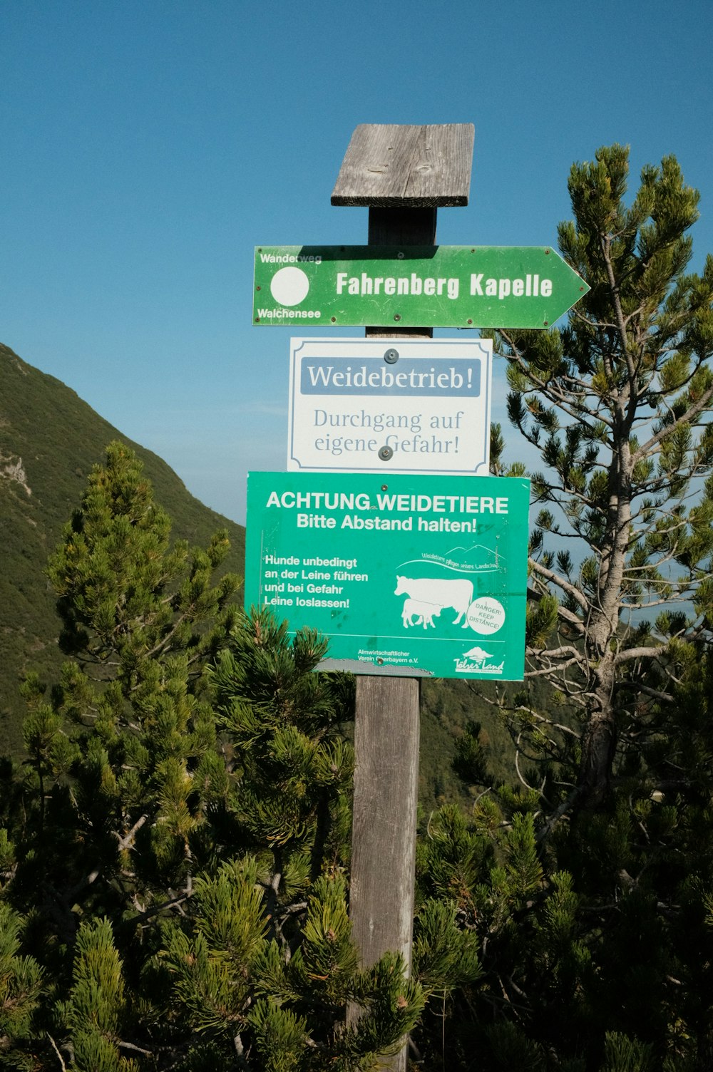 a wooden pole with several signs on top of it