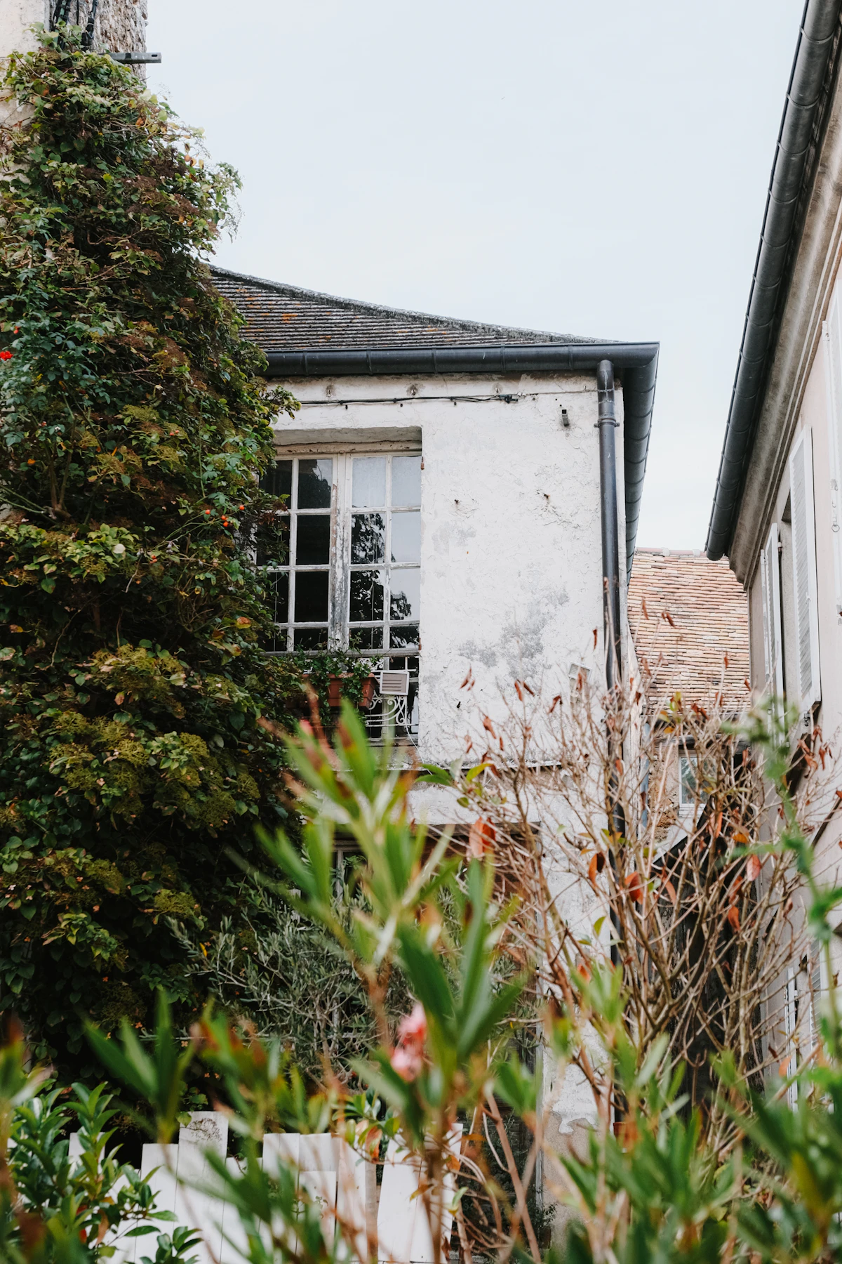 Maison française dans les Yvelines, avec volets blancs et lierre grimpant