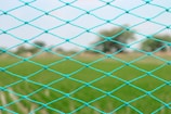 A close-up view of a blue netting with diamond-shaped patterns, through which a blurred green field and some trees in the background are visible.