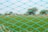A close-up view of a blue netting with diamond-shaped patterns, through which a blurred green field and some trees in the background are visible.