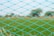 A close-up view of a blue netting with diamond-shaped patterns, through which a blurred green field and some trees in the background are visible.