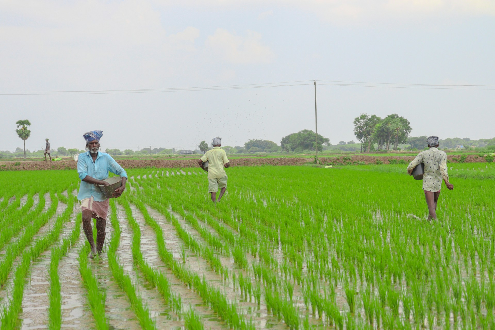 a group of men walking across a lush green field