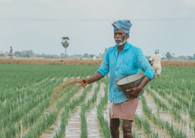 a man in a blue shirt and hat walking through a field