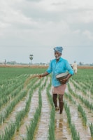 a man in a blue shirt and hat walking through a field