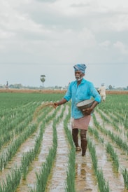 a man in a blue shirt and hat walking through a field