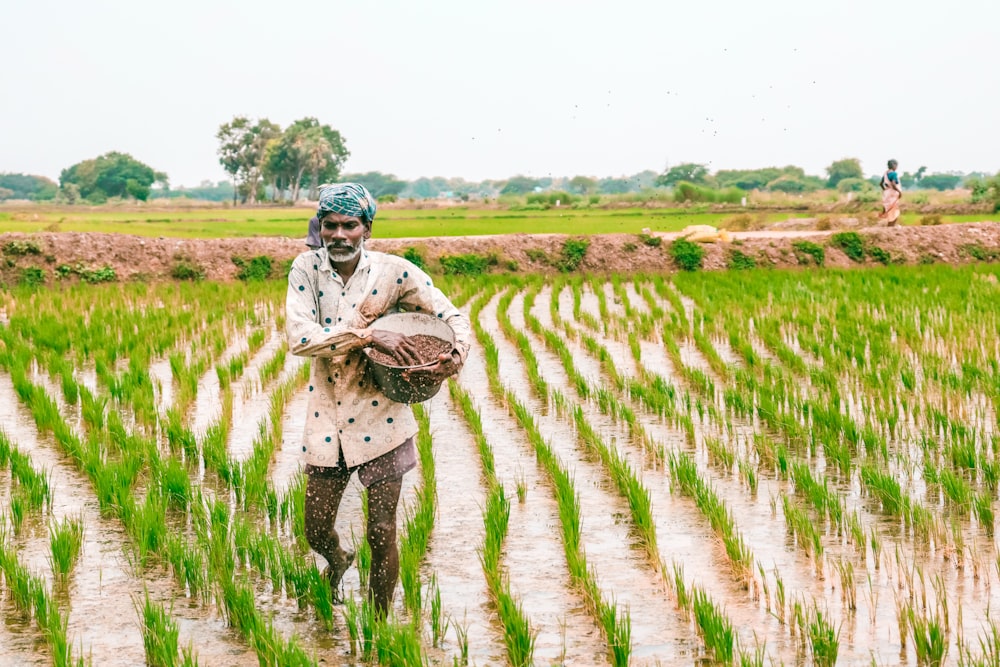 a man walking through a rice field carrying a basket