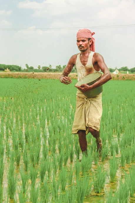 a man standing in a field holding a frisbee