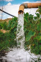 A steady stream of clear water flows out of a rust-colored metal pipe into a lush, green area filled with various types of foliage. The sky in the background is partly cloudy and adds a bright contrast to the scene.