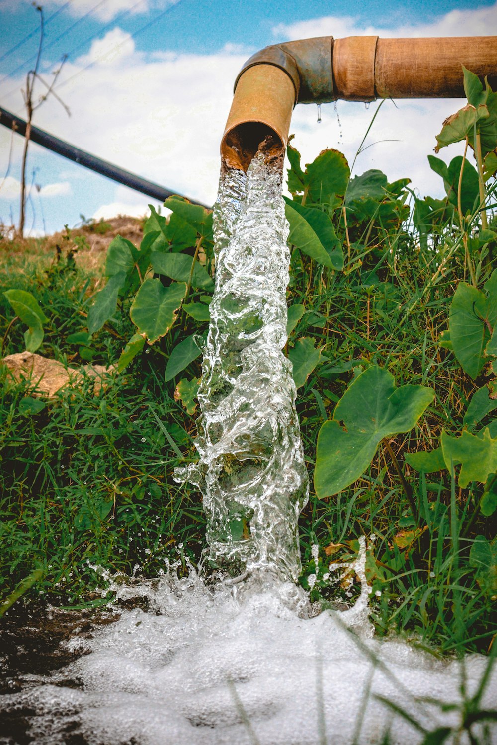 7.246 Wasserpumpe Bilder und Fotos - Getty Images