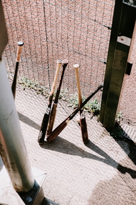Several baseball bats are leaned against a wire fence with sunlight casting shadows on the concrete ground. A grassy area is visible through the fence.