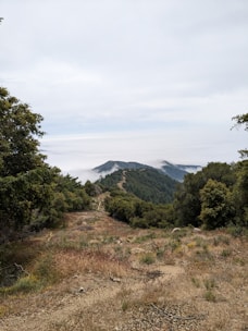 A scenic photo of a misty trail in Boyacá inviting for a walking plan