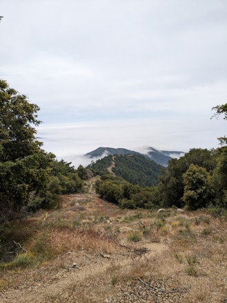 A scenic view of a mountainous landscape with a narrow dirt trail leading through dense green forests. Mist and clouds hover over the peaks in the distance, creating a mystical and serene atmosphere. The sky is overcast, adding a soft light to the scene.
