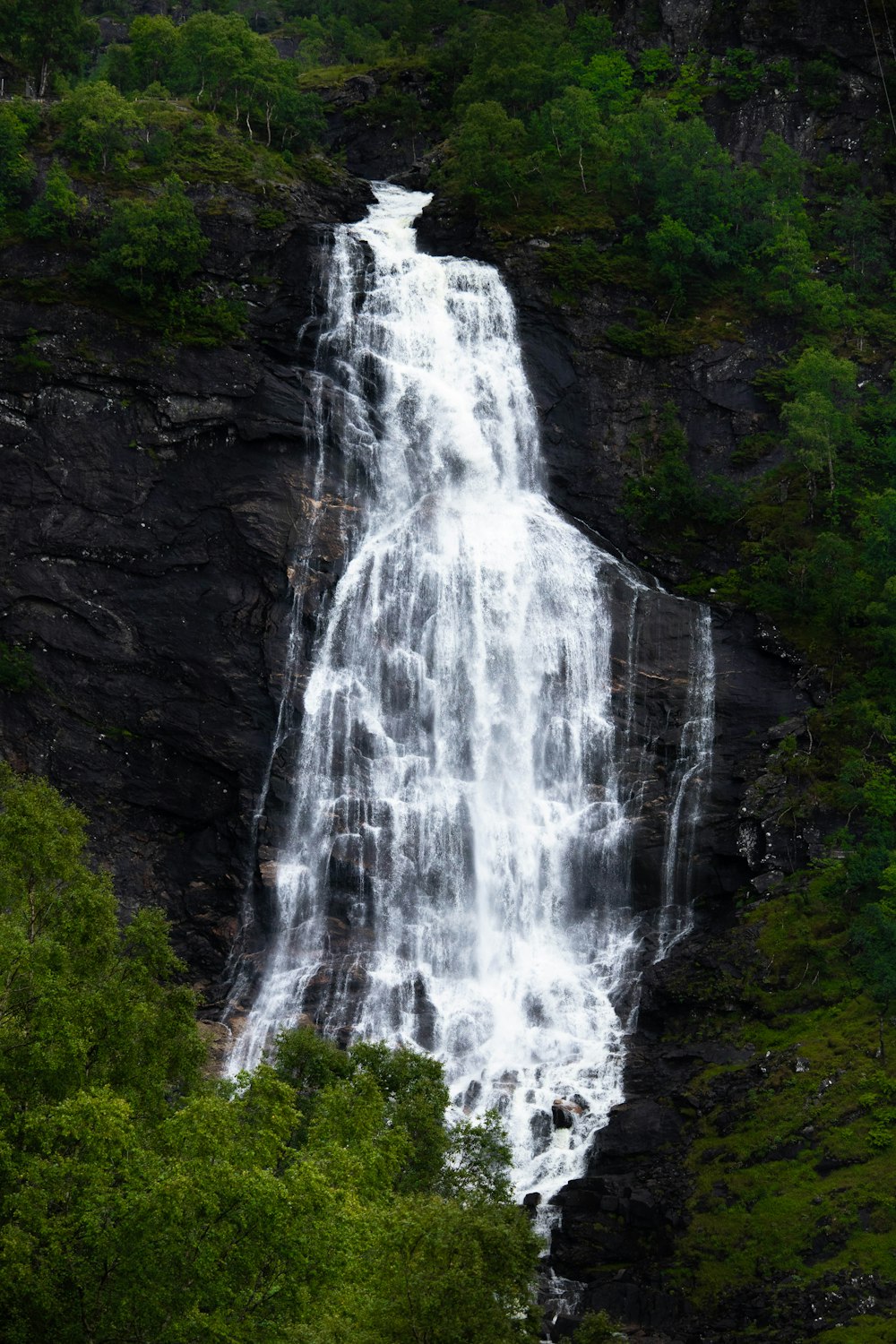 a very tall waterfall in the middle of a forest