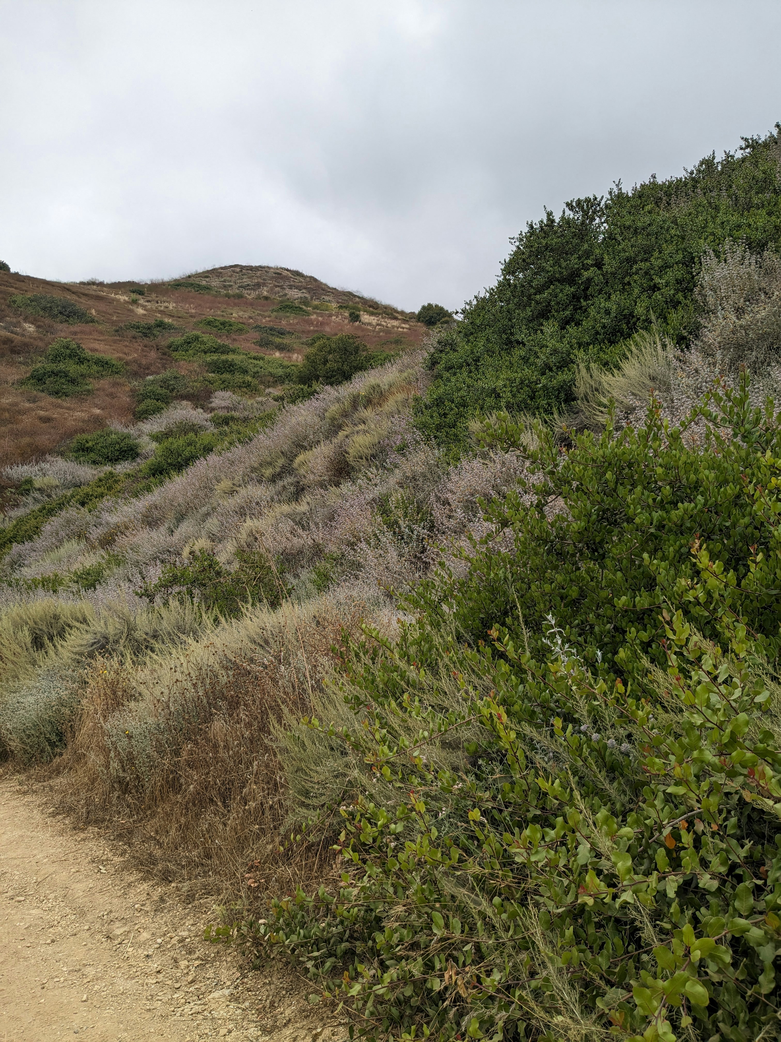 Photo by nataliericotta