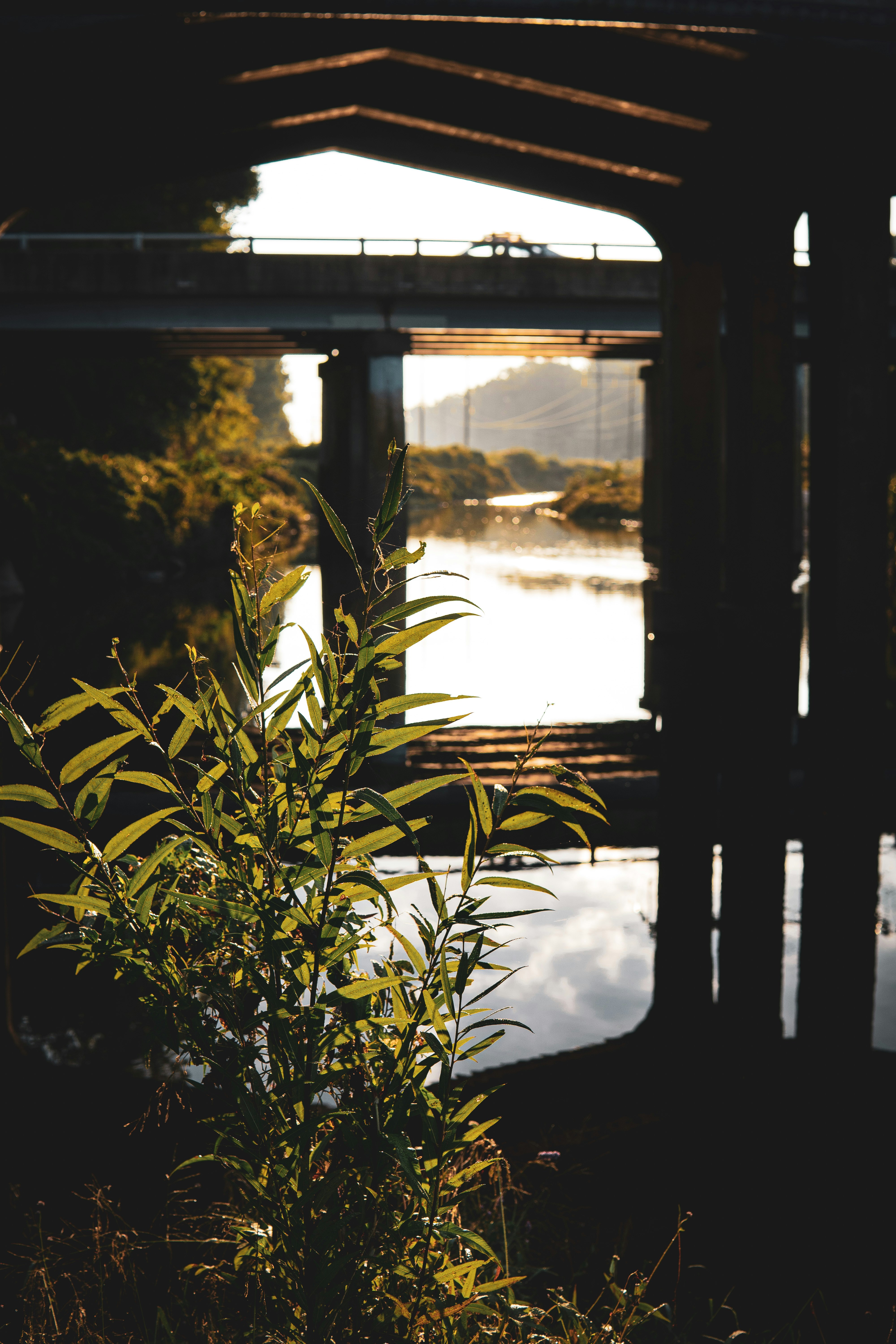 Photo by keepitchassephotography