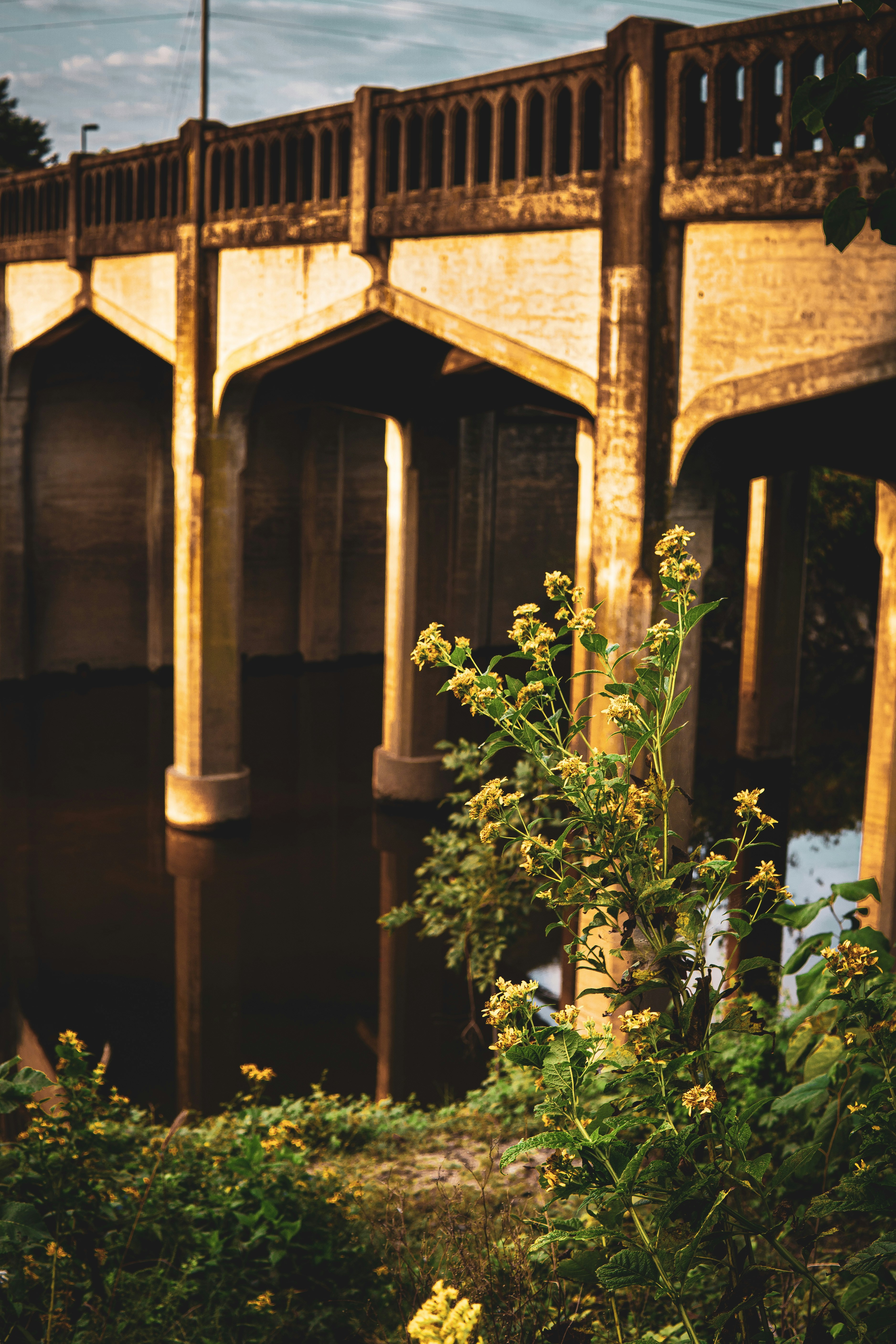 Photo by keepitchassephotography