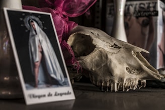 A photograph of a religious image beside a large animal skull. The religious image is of a person draped in white, featuring a halo, perhaps representing a saint or deity. A textured, beige skull with empty eye sockets and teeth is prominently displayed next to a pink ribbon in the background.