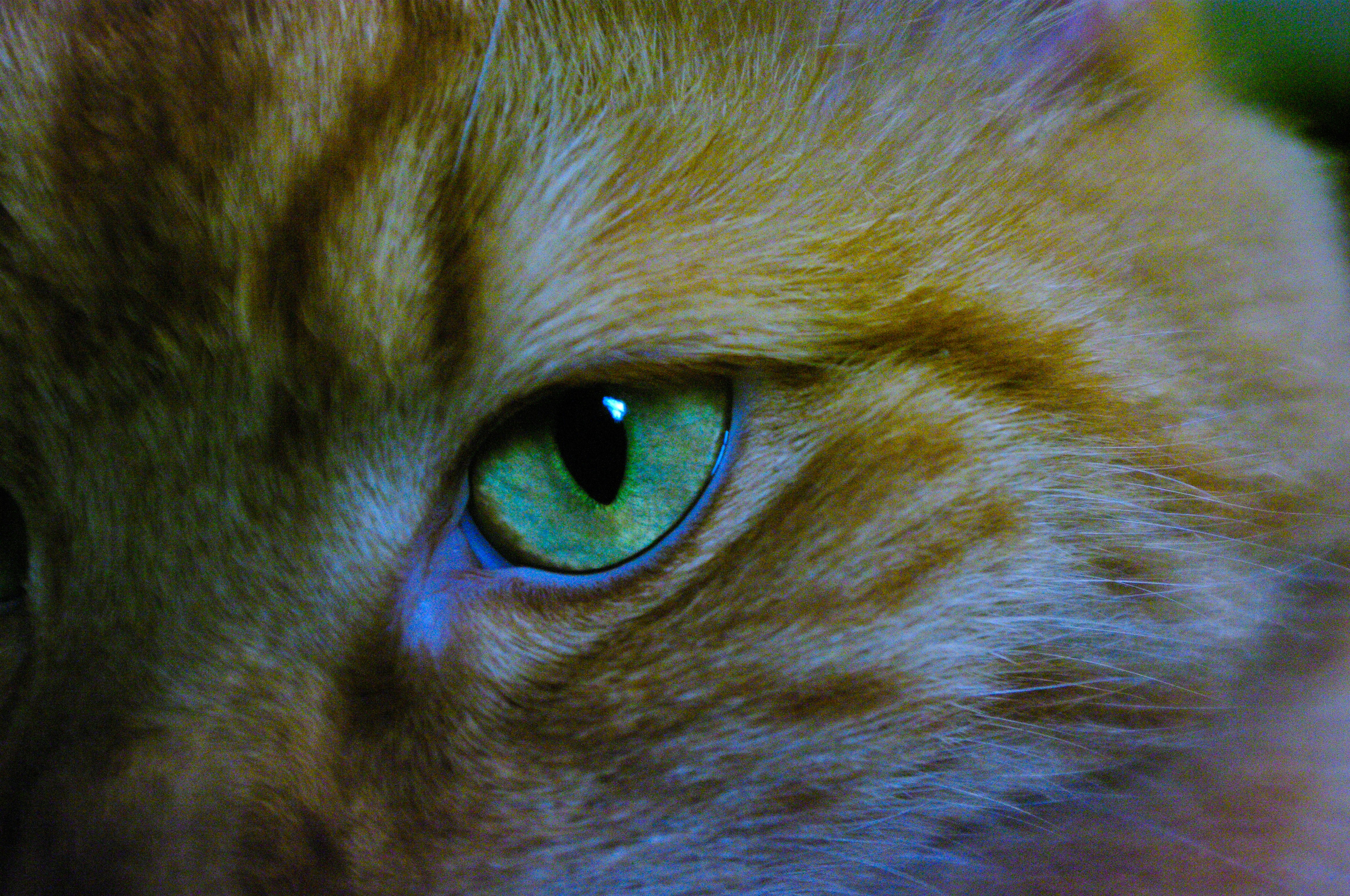 Photo by aliyah_davis