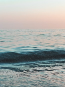 Calm ocean surface at dawn with soft pastel colors blending above the horizon.