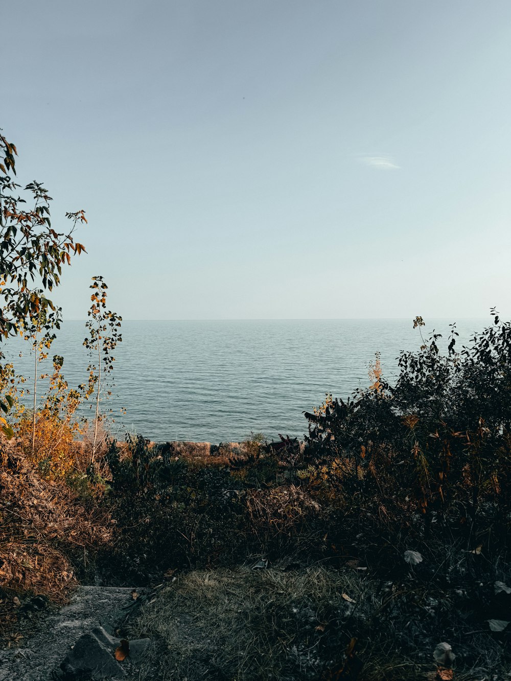 a view of a body of water from a hill