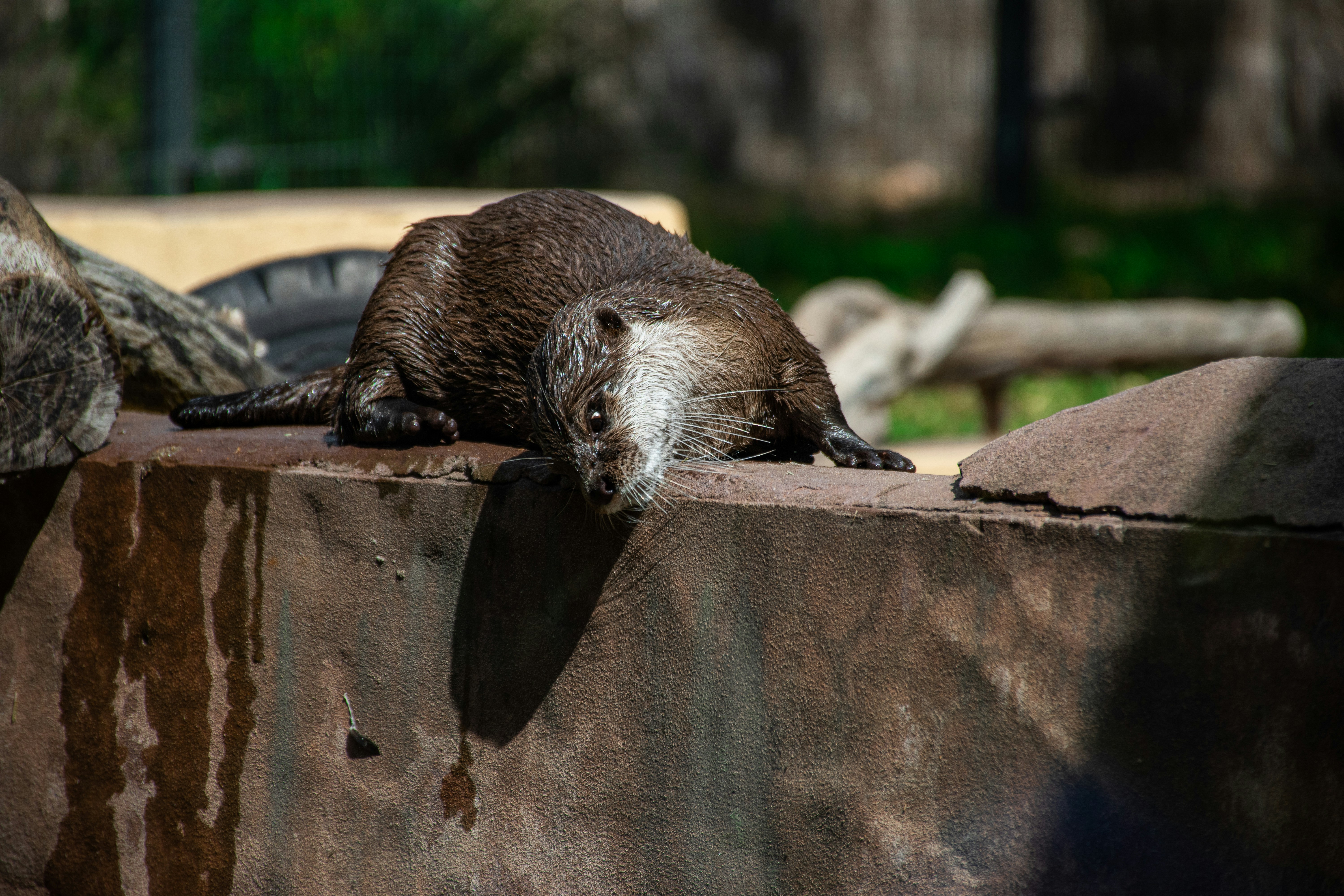 Photo by adam_skrinnikoff