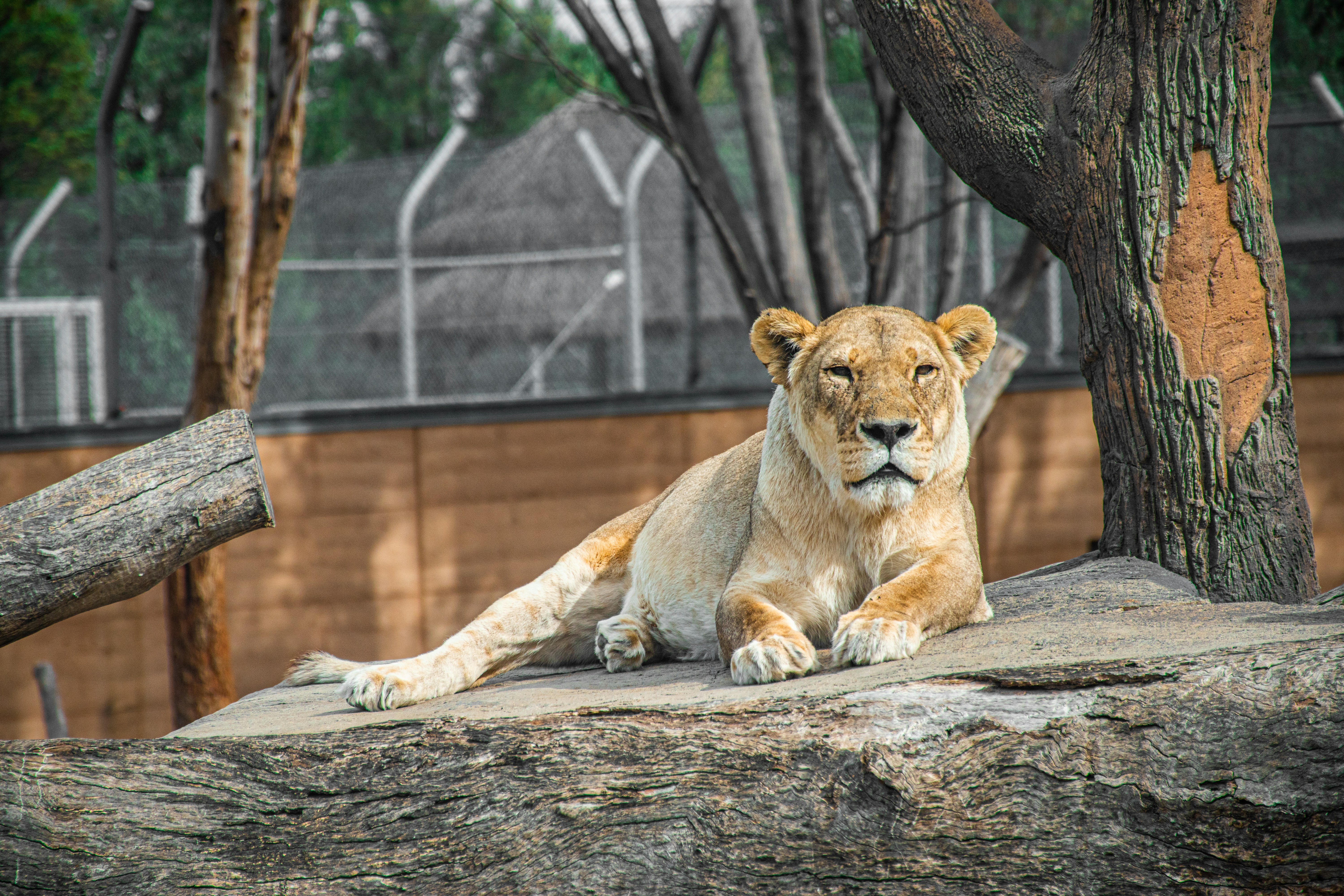 Photo by adam_skrinnikoff