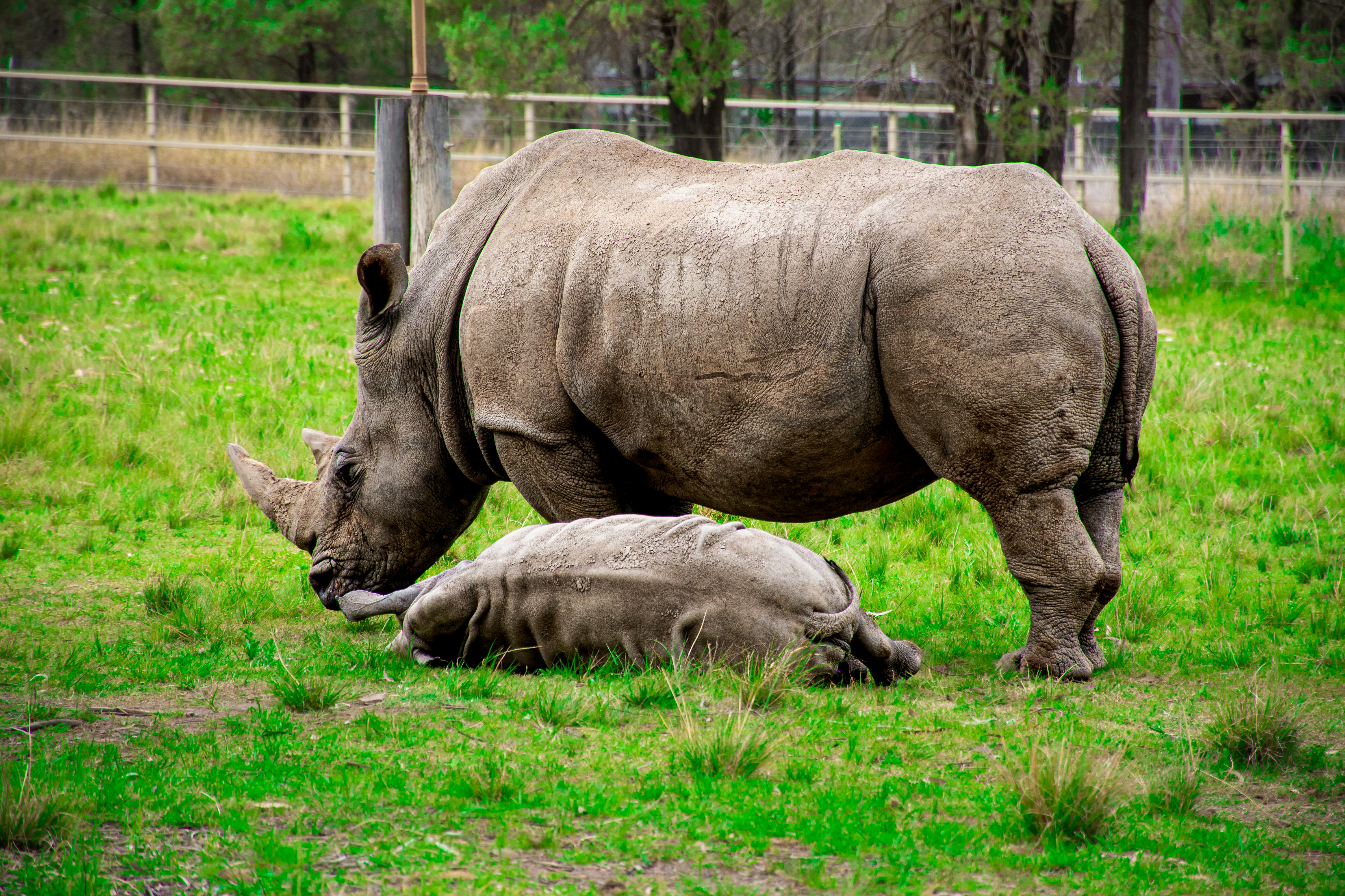 Photo by adam_skrinnikoff