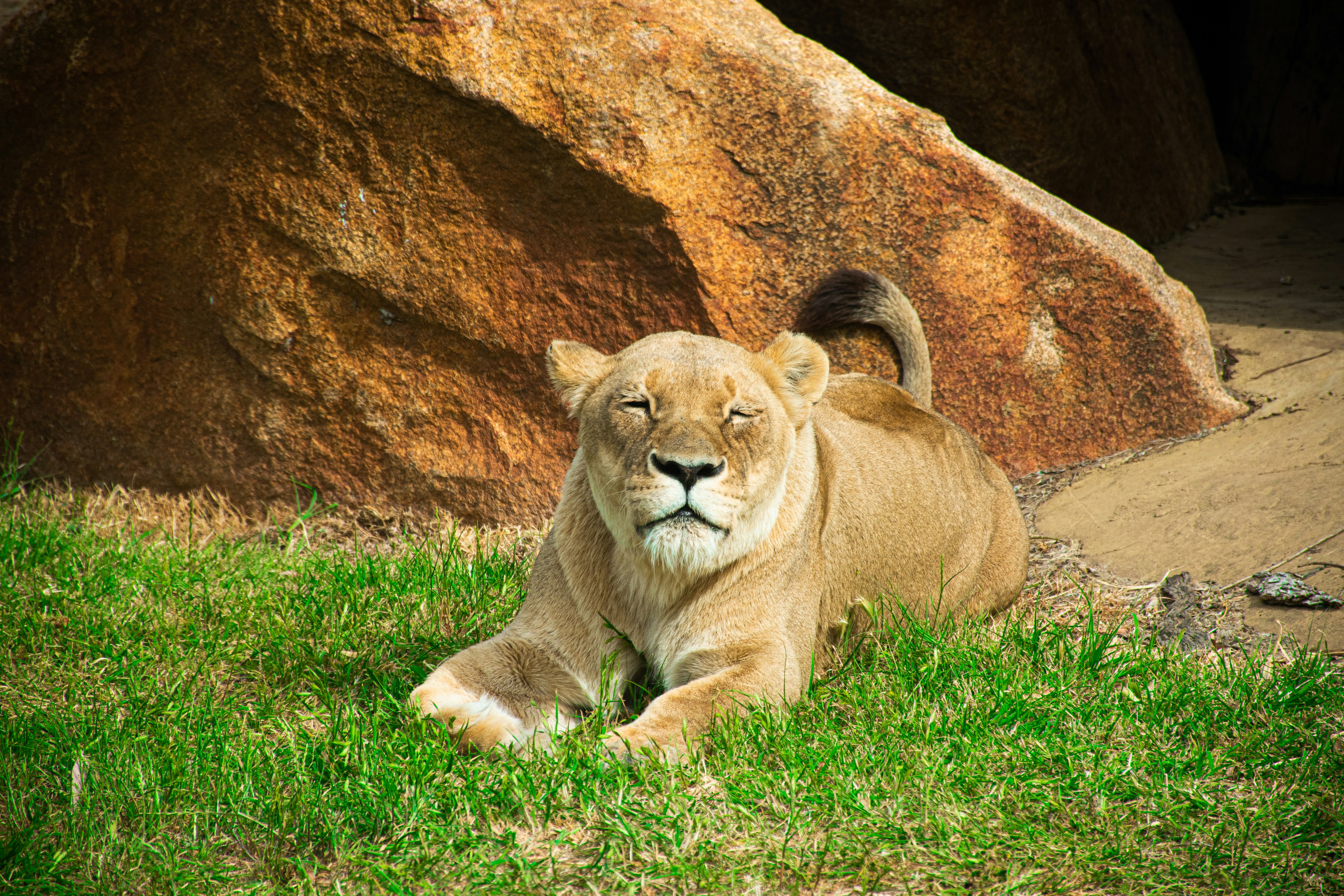 Photo by adam_skrinnikoff