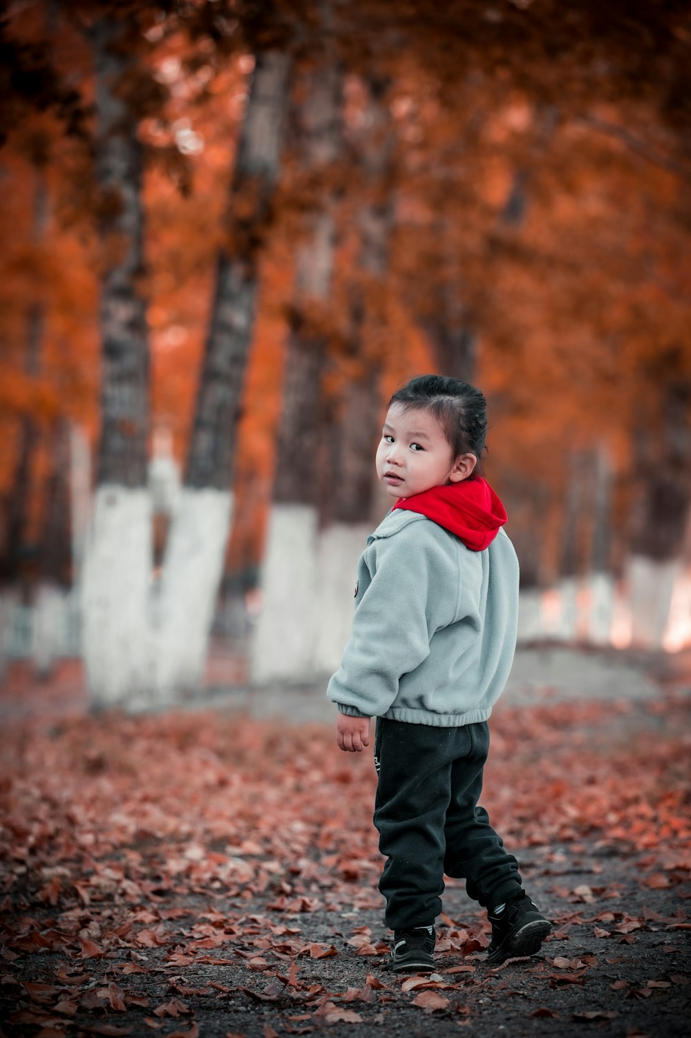 a young boy standing in a forest with leaves on the ground