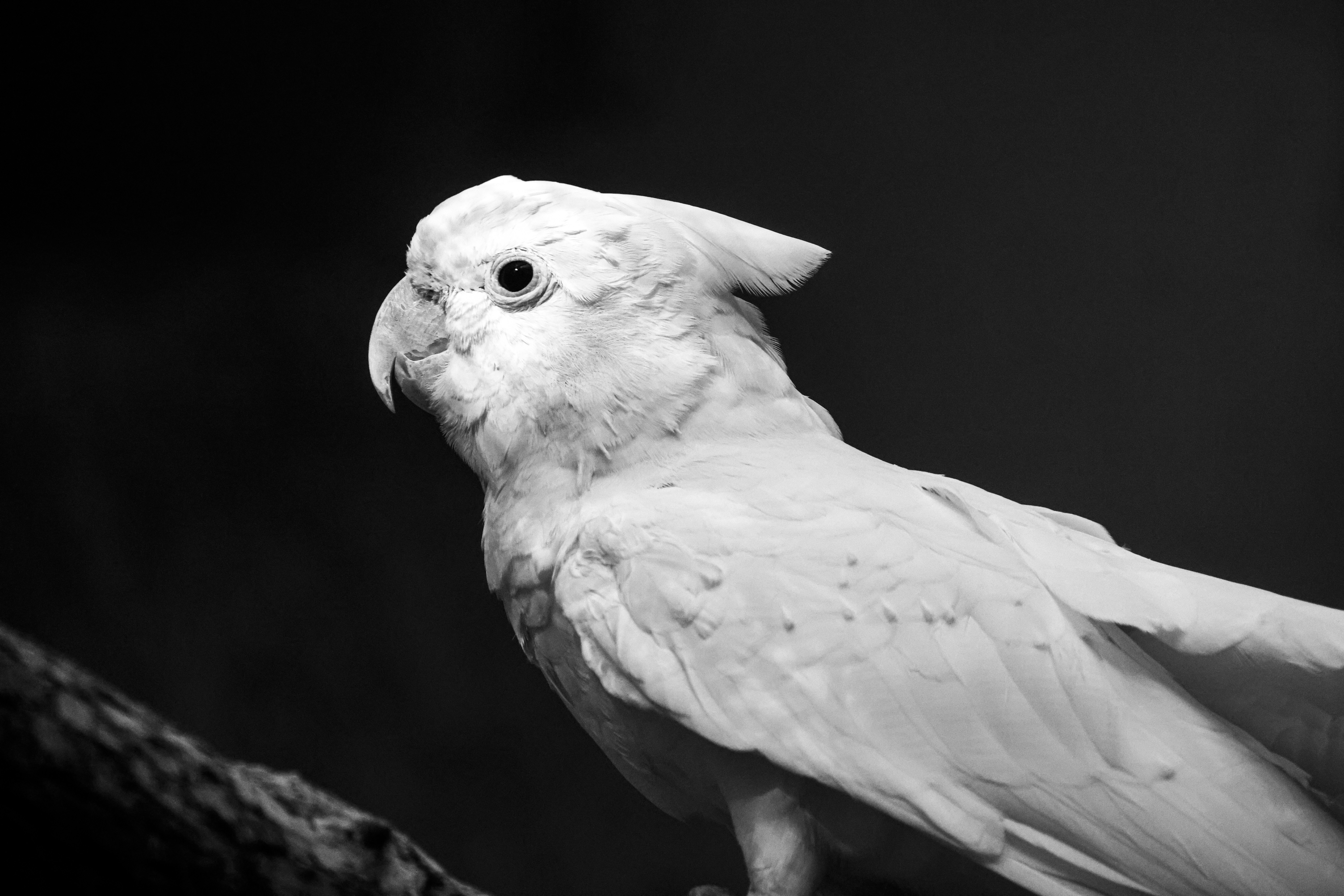 Photo by arttoinspire