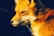 A satisfied client reviewing designs with a Red Fox designer.