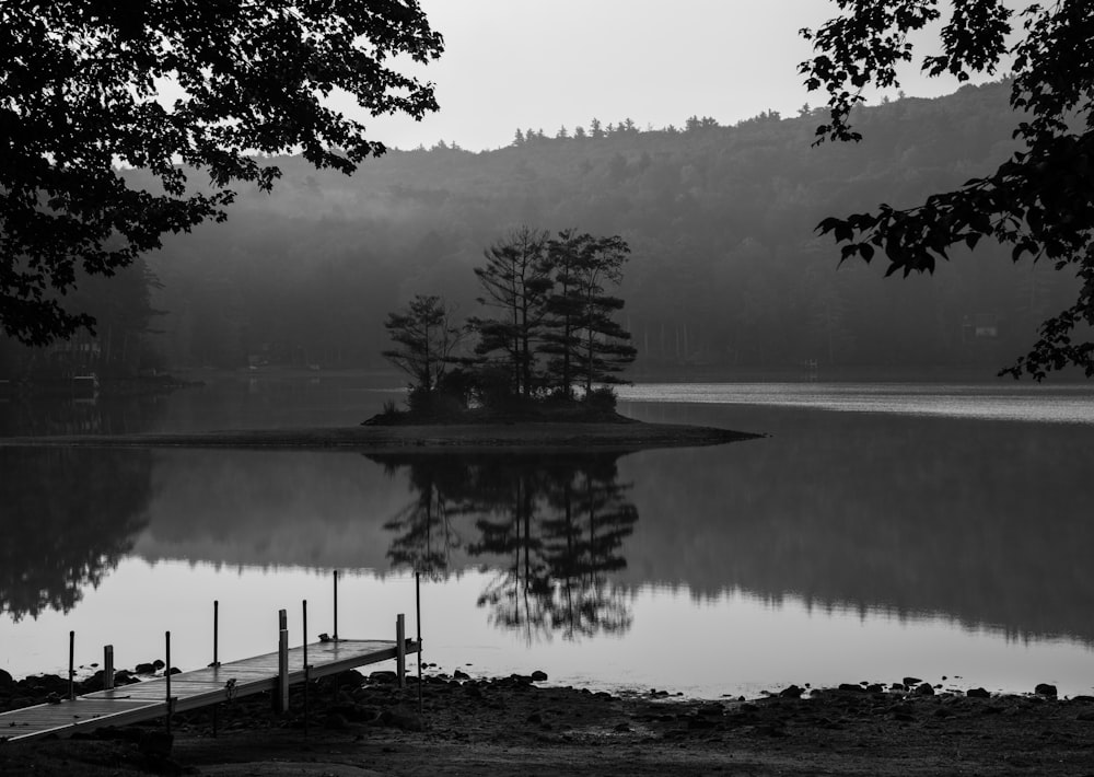 a dock sitting on top of a lake next to a forest