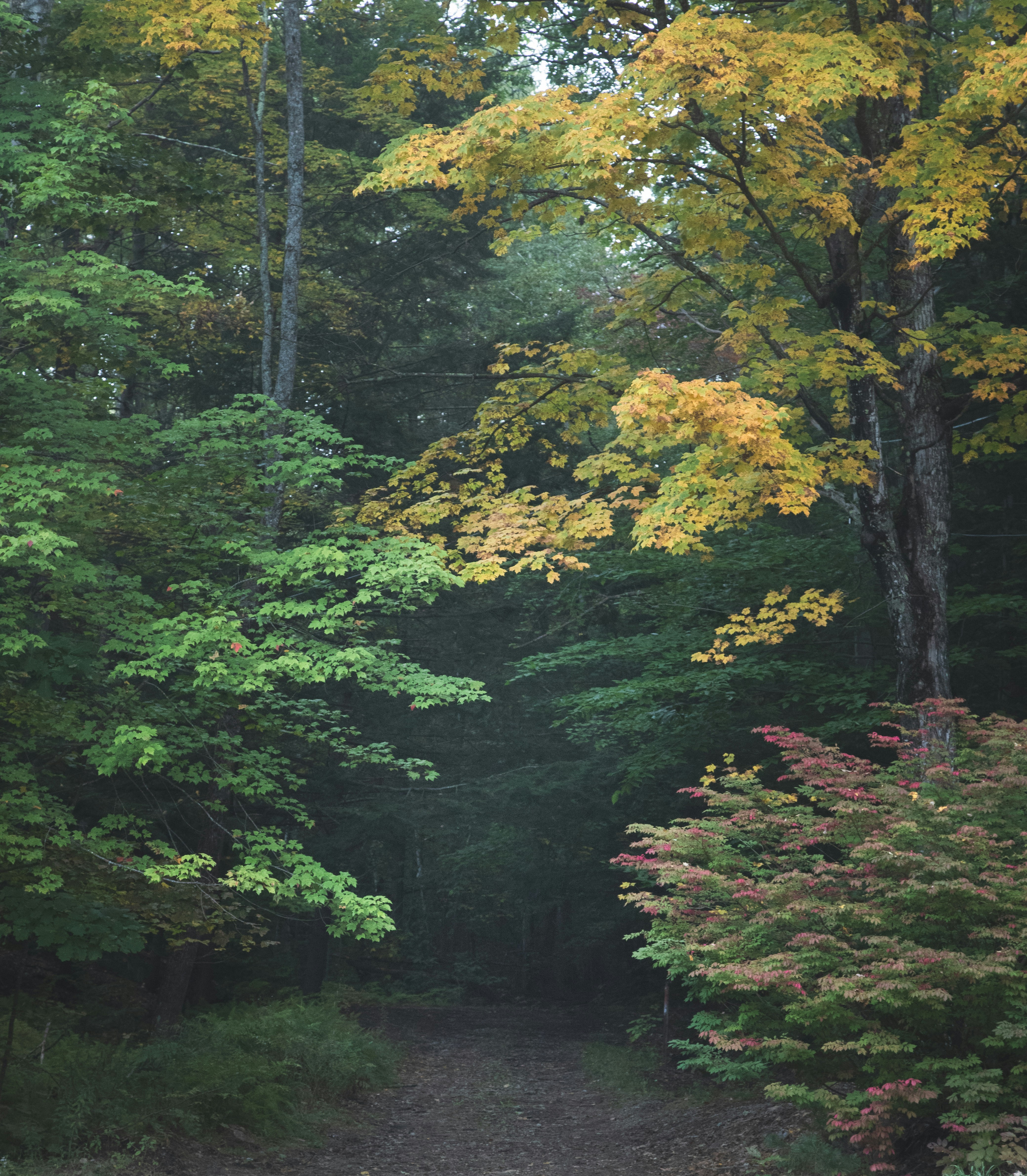 Photo by capturelight