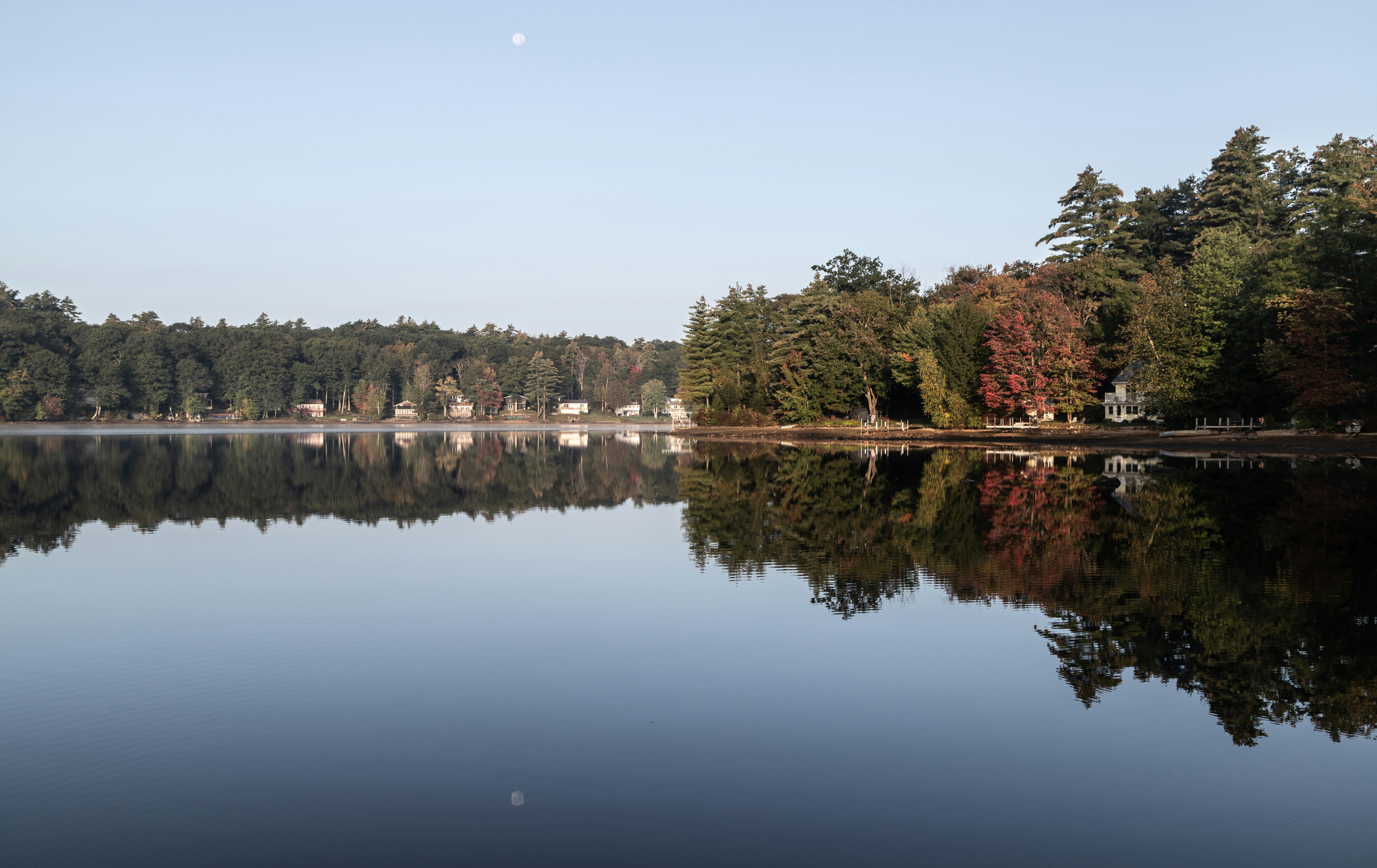 a body of water surrounded by lots of trees