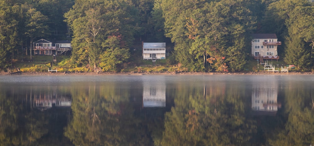 a body of water surrounded by trees and houses