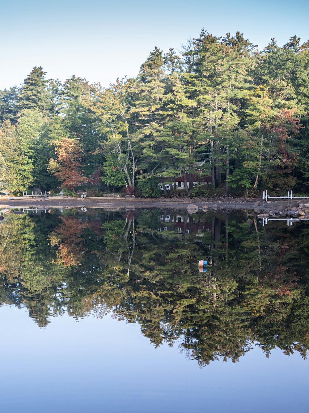 a large body of water surrounded by trees