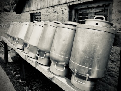 Rows of stainless steel milk containers kept chilled in a temperature-controlled storage room.