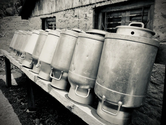 Rows of milk cans lined up neatly, ready for daily delivery from Palia Kalan
