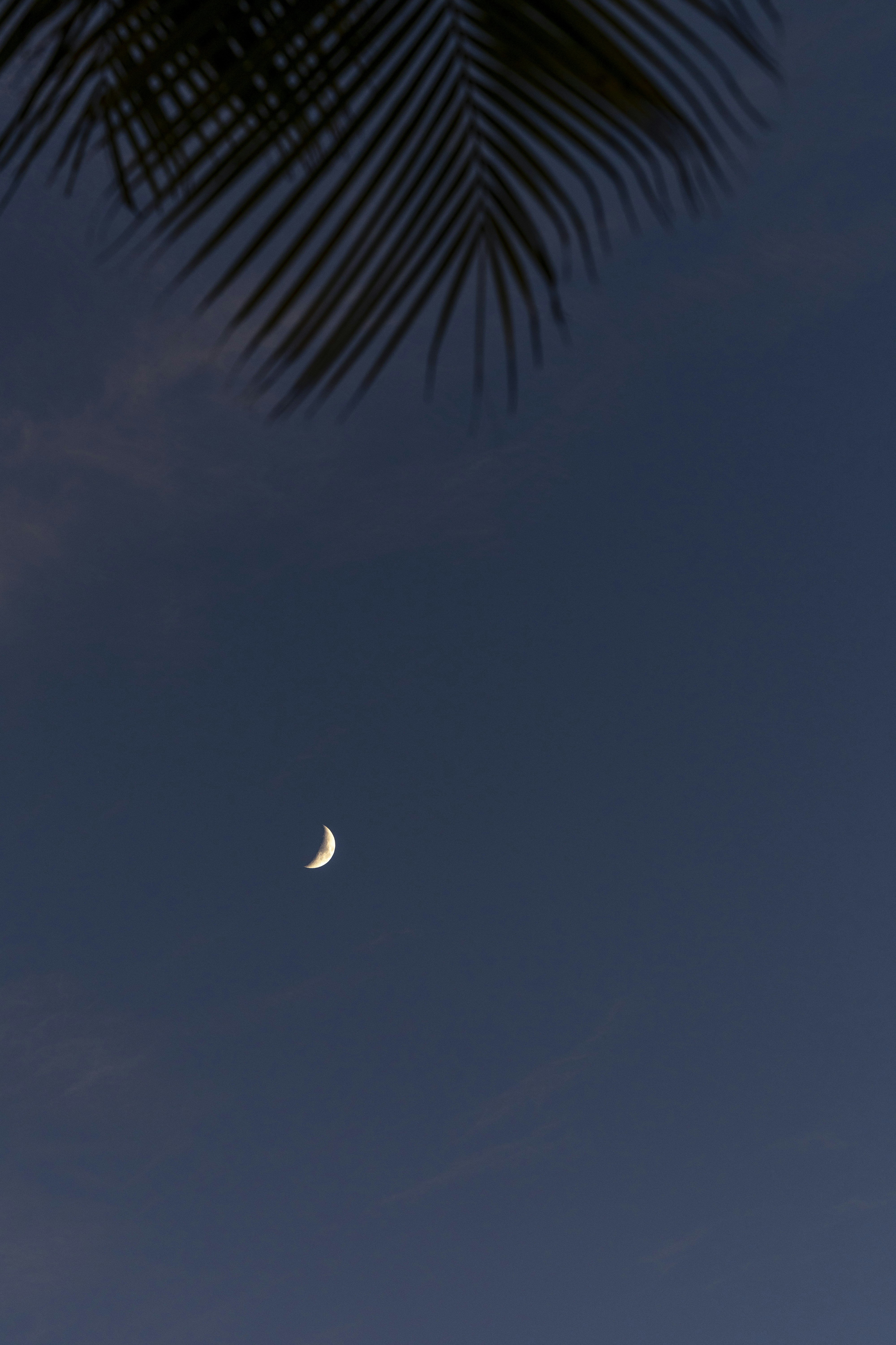 Photo by leo_visions_