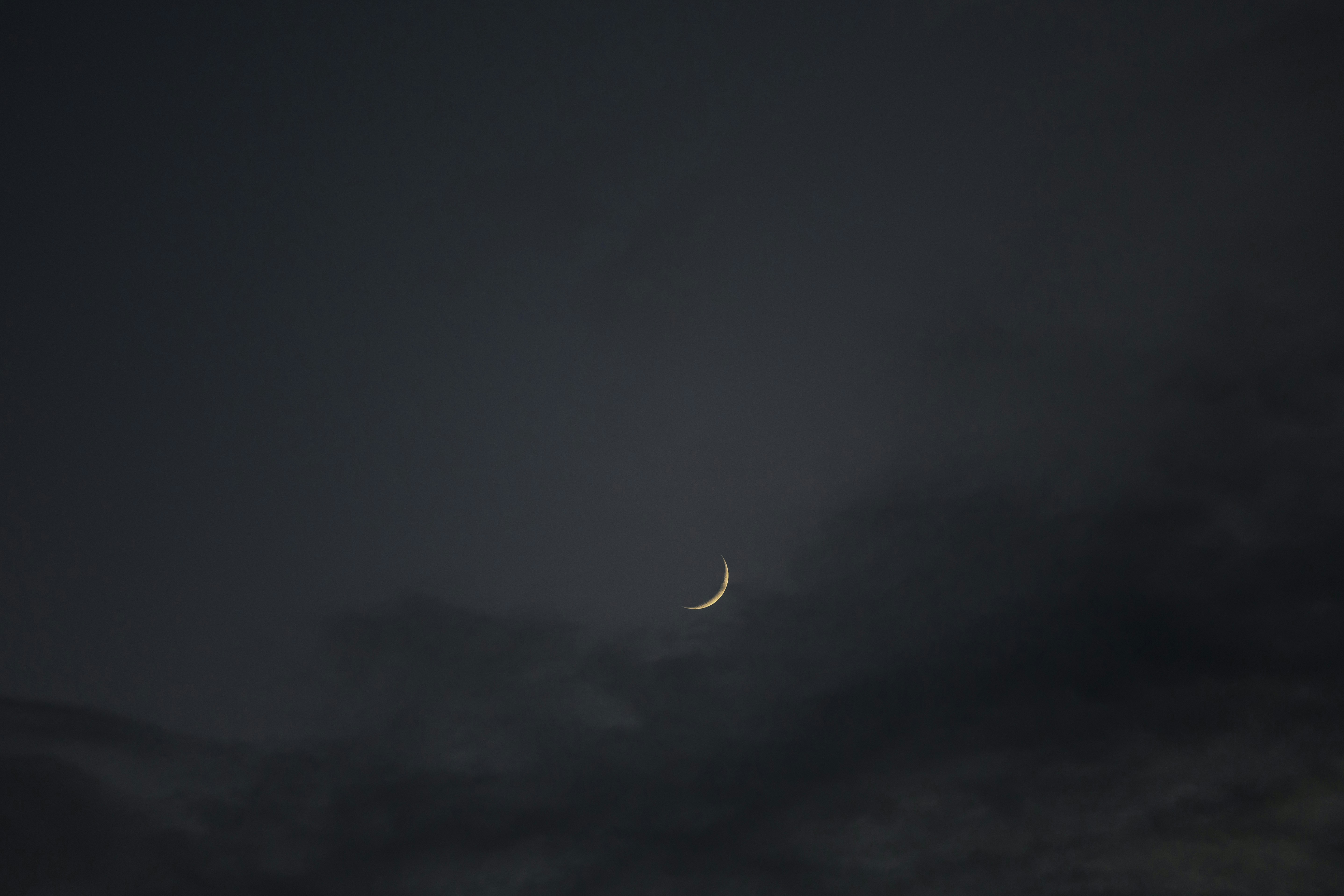 Photo by leo_visions_