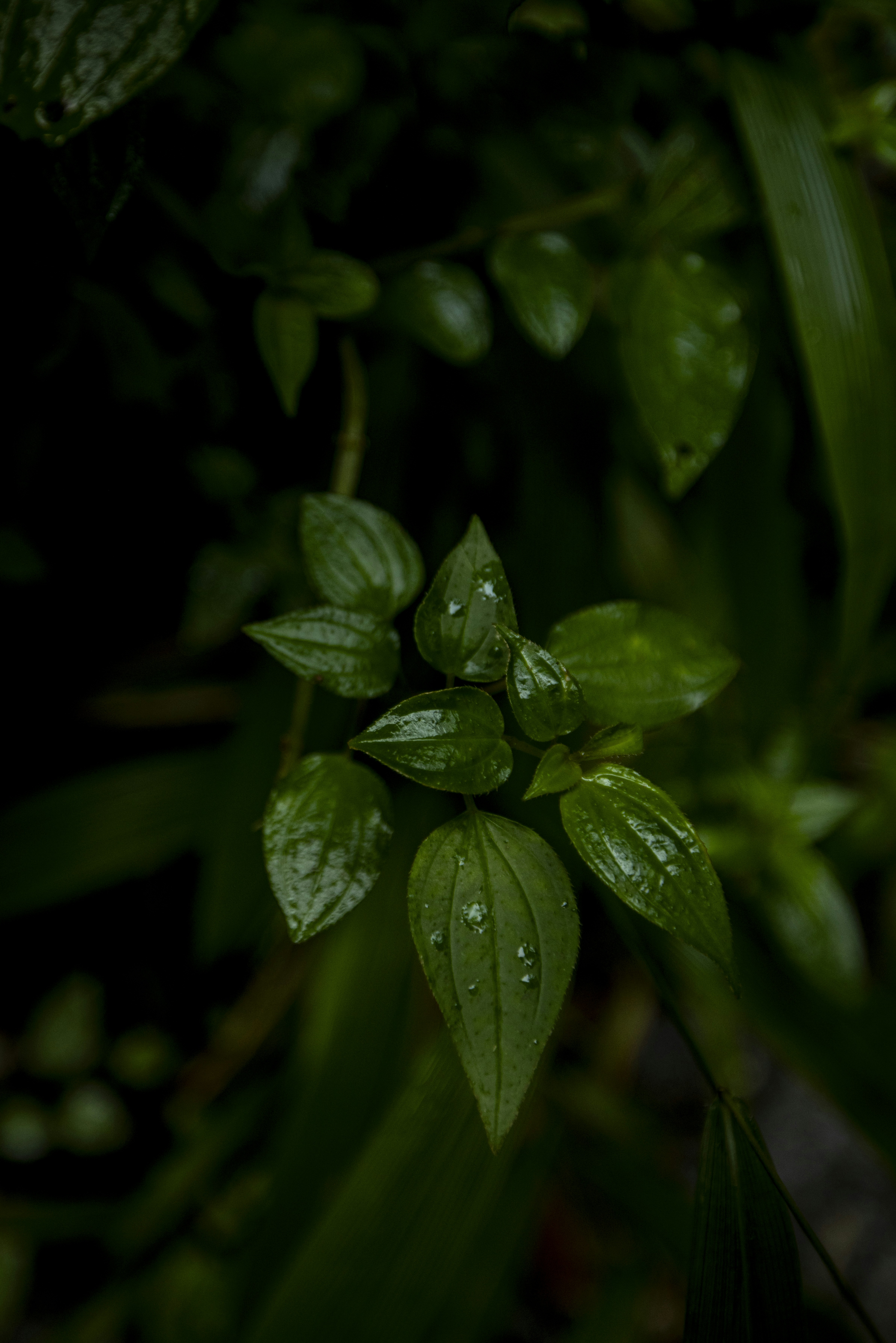 Photo by leo_visions_