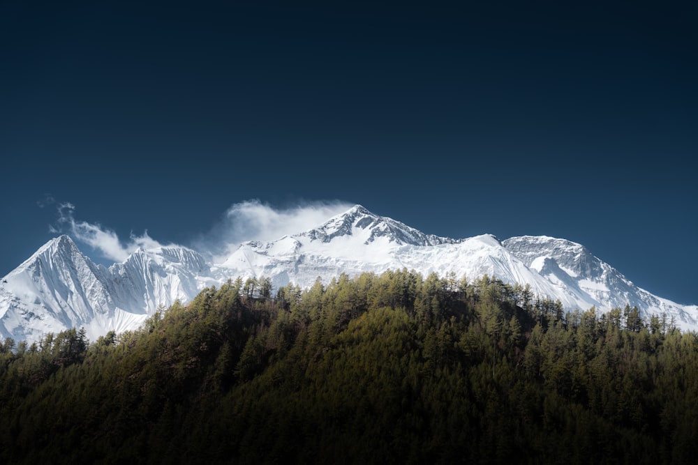 a mountain covered in snow and trees under a blue sky