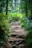 A forest trail with roots and soil winding through dense greenery, surrounded by tall trees. Sunlight filters through the leaves, casting dappled shadows on the path. A hiker in the distance, wearing a red top, adds a sense of scale and adventure to the scene.