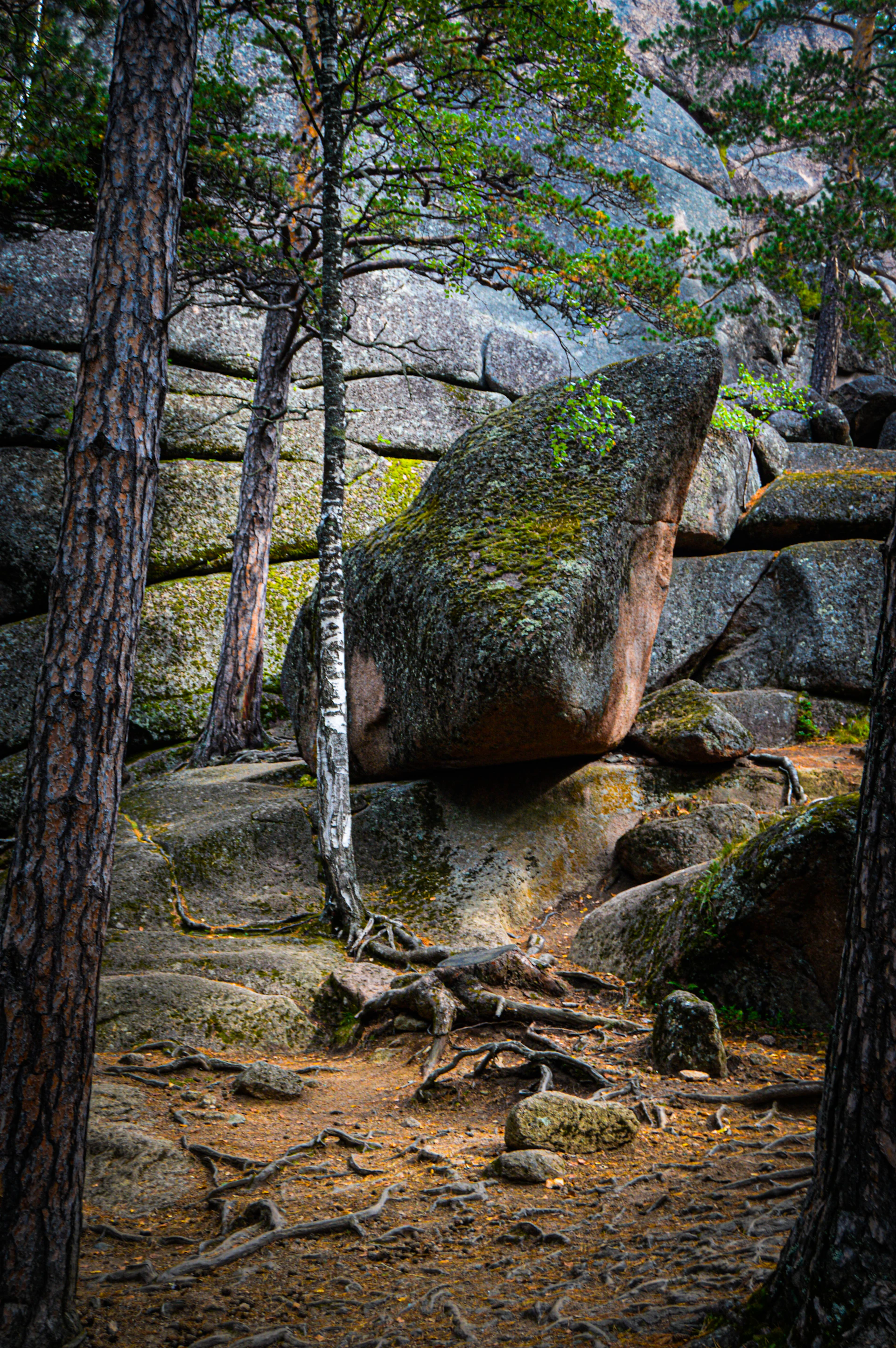 woman wearing yellow long-sleeved dress under white clouds and blue sky during daytime
