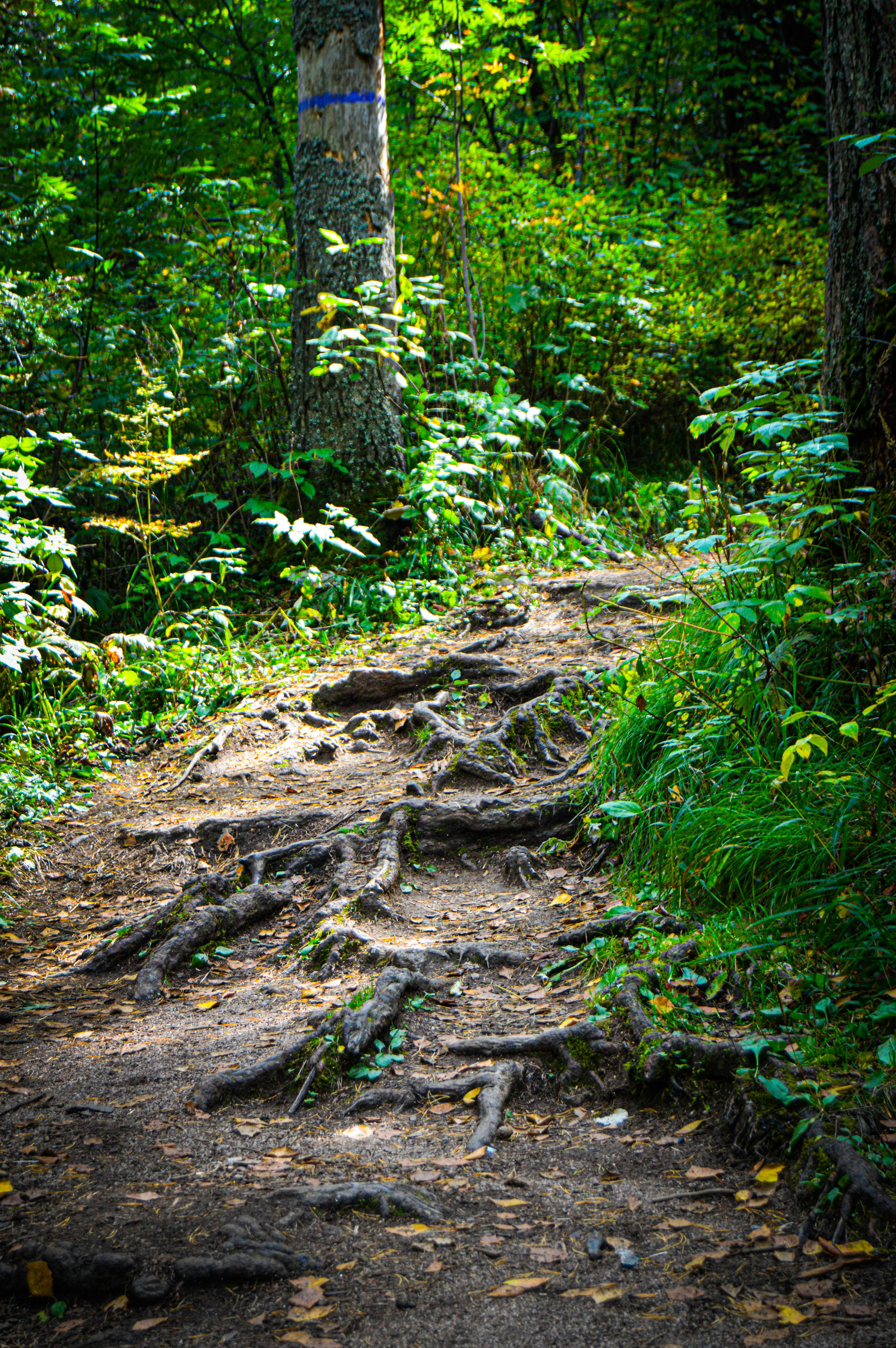 7 Spiritual Practices Linked to Inca Trail Preparation